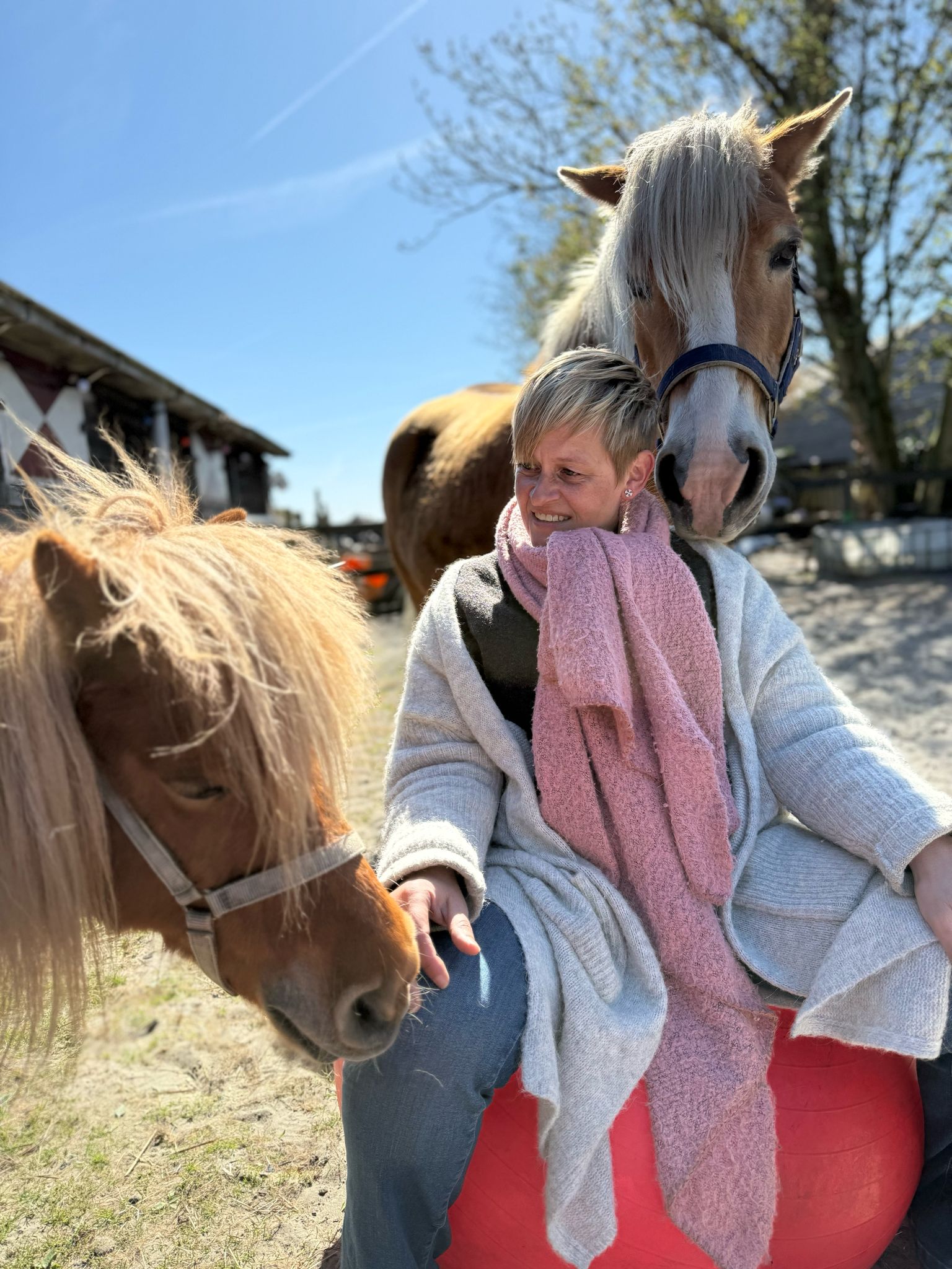 elza hoeve Paardestal Delft